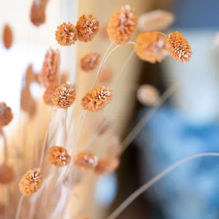 Nad Morzem U Sevilli Darlowko *